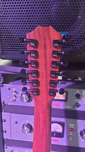 Taylor Guitars - 362CE 2